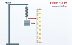 Spring force simulation