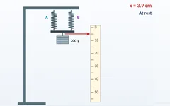 Springs in series and parallel simulation