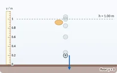 Free fall simulation